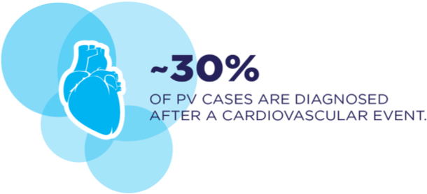 Graphic icon of a human heart with text that says – ~30% OF PV CASES ARE DIAGNOSED AFTER A CARDIOVASCULAR EVENT